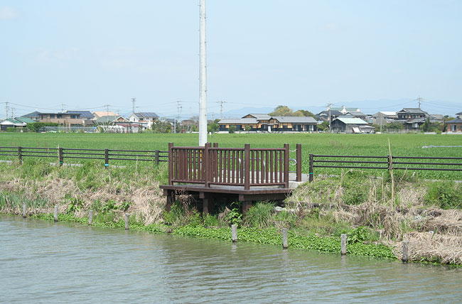 観察デッキ・丸太