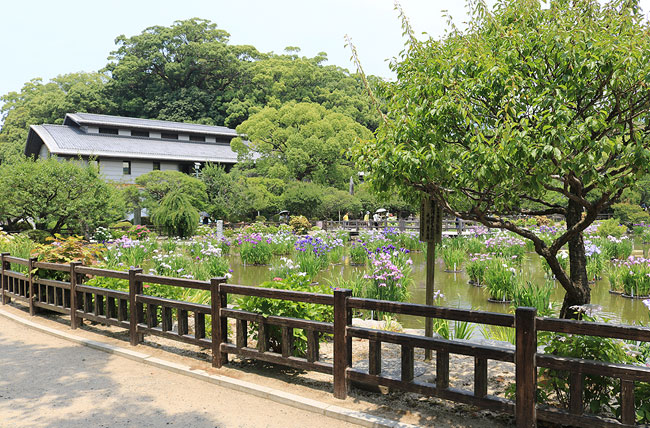 ST外柵・花鉢