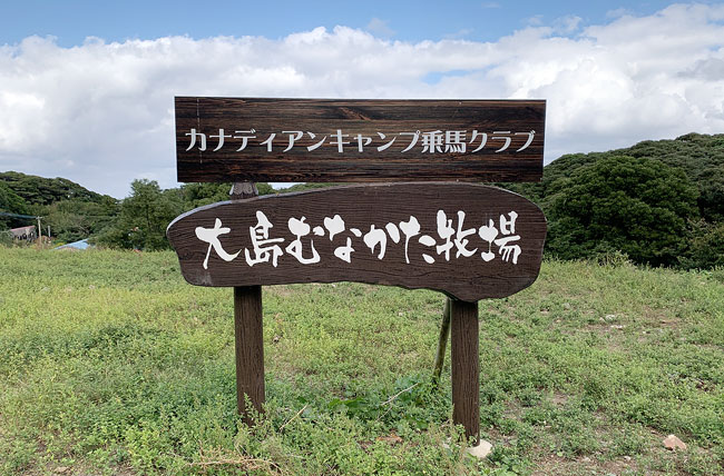 雲型案内板(大)