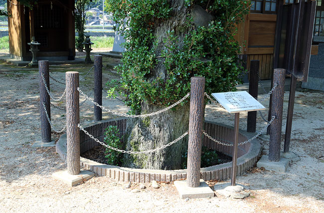 擬木 PCギ木 鎖外柵2号 写真