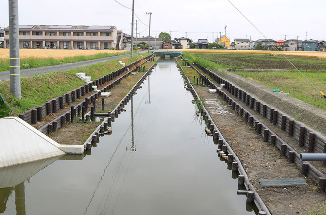 丸太［階段工／多自然型護岸］