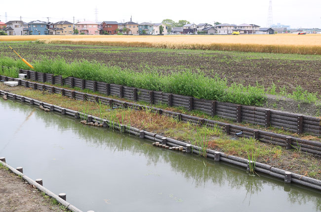 丸太［階段工／多自然型護岸］