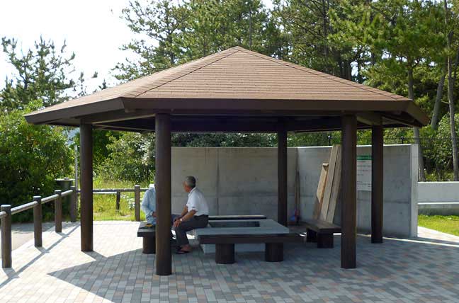 擬木 PCギ木 東屋1型J25N 写真
