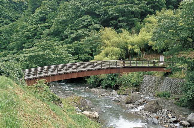擬木 PCギ木 太鼓橋 写真