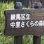 雲形案内板 写真